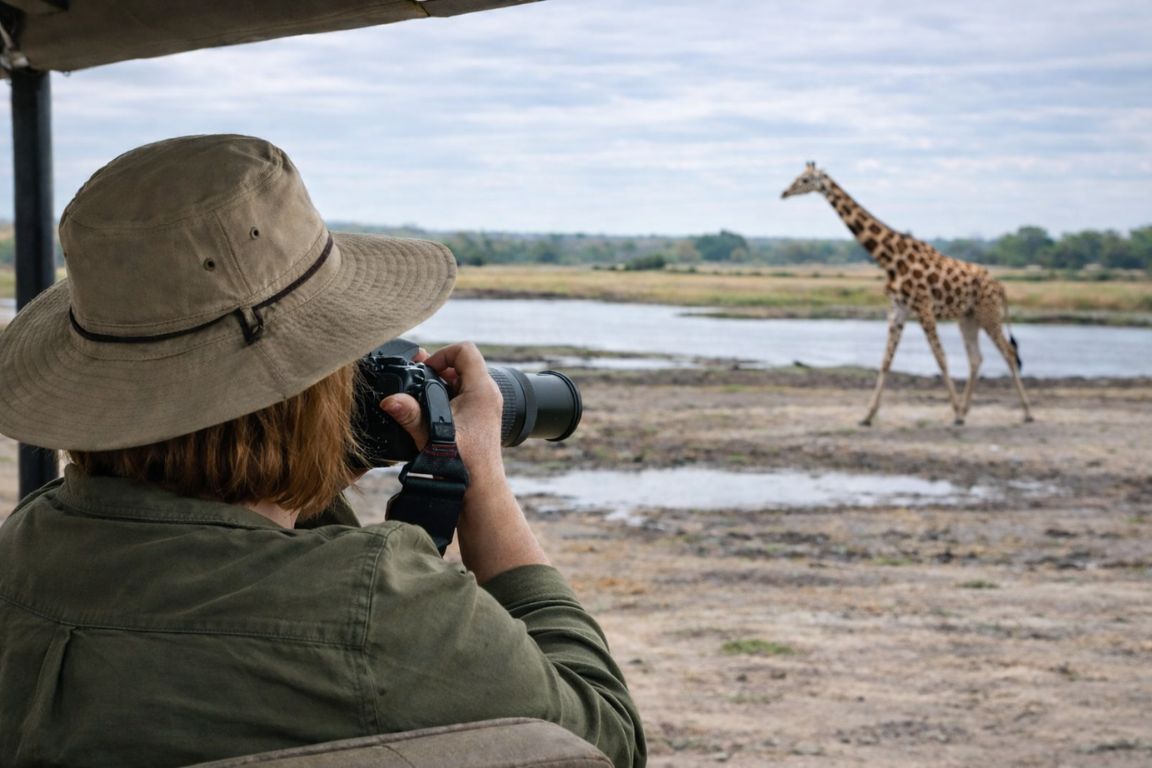 Open safari vehicle game drive in Chobe National Park with Chobe Tours