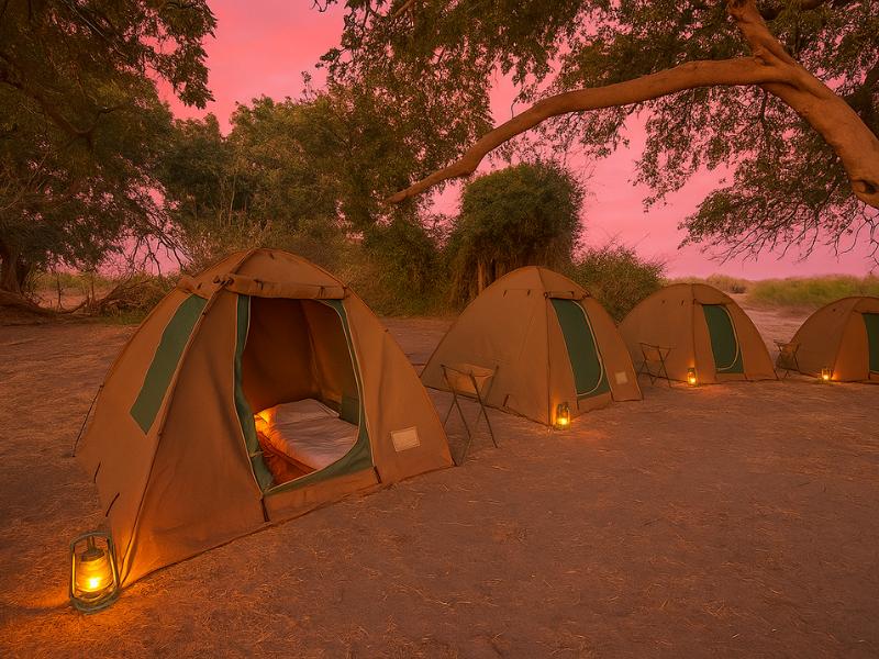 Chobe Tour: 2-Day/1-Night Safari from Livingstone/Victoria Falls